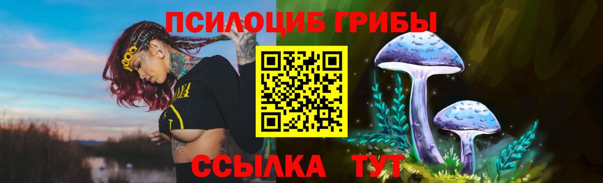Псилоцибиновые грибы мицелий  Галлюциногенные грибы Cubensis  Вход с VPN  магазин продажи наркотиков  Кизилюрт 